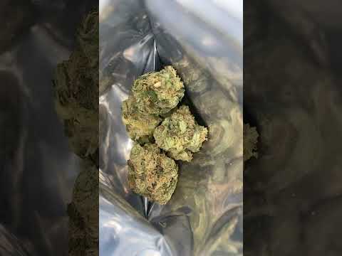 Durban Poison by culta 💨🤩🔥