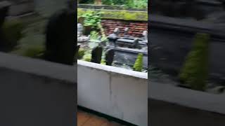 Download lagu Makam Syaikh Jangkung || Saridin ||#saridin #shorts mp3