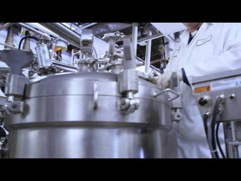 comment traiter candida krusei