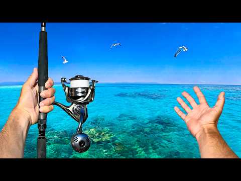 SOLO 50KM Offshore Fishing with NO FOOD (Catch & Cook)