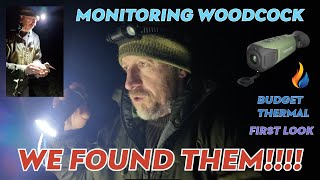 NIGHT TIME SEARCH - MONITORING AND RINGING WOODCOCK