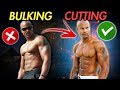 When Should You Bulk Or Cut What To Do First