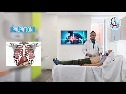 Examination of a Cardiac Patient