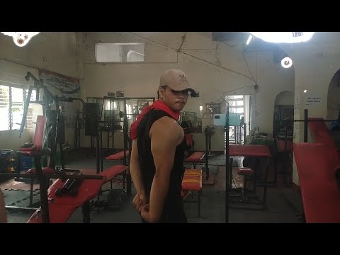 3yr Bulk [Winter Arc]- Day 64 | Tri's, Rears & Daily Cardio