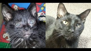 Ashes Remain - Here For A Reason (Vader's Story)