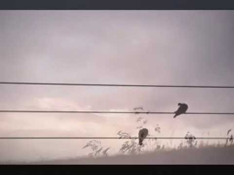 Lorenz Maierhofer, FÜR DI / FÜR DICH - alpenländische Pop-Ballade für Chor