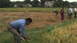 Crop cutting Video
