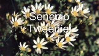 Nature - Christophe Maé