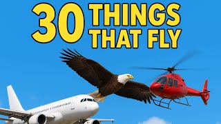 30 Things That Fly | Fun Learning Video for Kids gameplay video by hkruschwitz, 5:29 duration