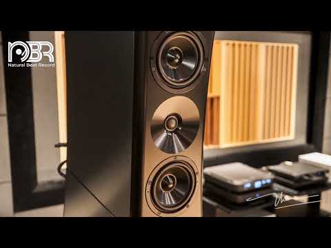 Deep Bass & Best Voice - Hi Res Audiophile Collection - Natural Beat Records