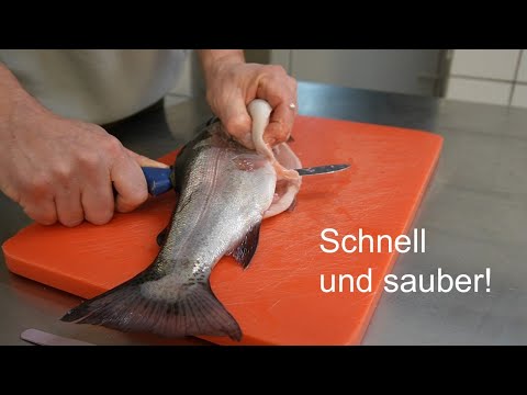 The BEST method in the WORLD to FILLET trout!