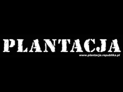 PLANTACJA ,,pełny słoik``