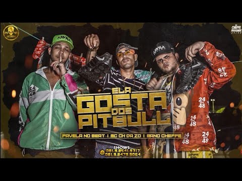 MC CH DA ZO, MANO CHEFFE, FAVELA NO BEAT - ELA GOSTA DOS PITBULL