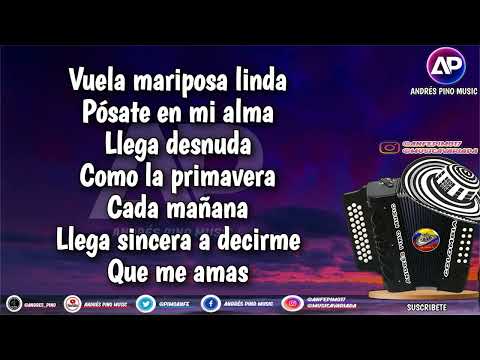 Para Entregarte El Alma - Nelson Velasquez | Letra