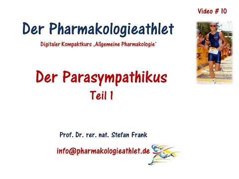 Das autonome Nervensystem: der Parasympathikus  - Teil 1 !