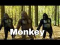 Life Could Be A Dream But Monkey