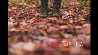 Dienda - sting cover