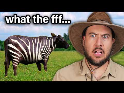 The Animal Kingdom Is Not Okay