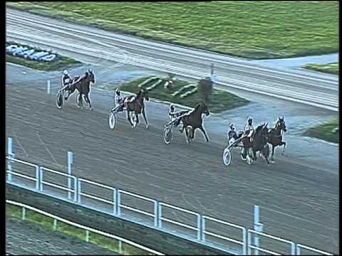 Trotto 25/03/2016 - prova di qualifica