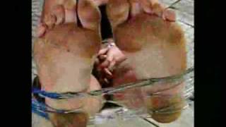 El Zapato (Los Reincidentes)