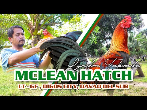 FARM VISIT: MCLEAN HATCH - Mr. Lyndon Taboada of LT Farm
