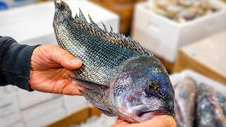 I Spent a Day at NYC's Craziest Fish Market