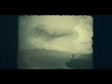 The Lost Symbol - Bird Scene (Episode 3)