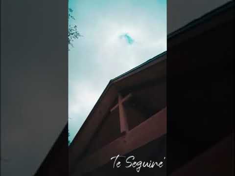 Josue Escogido (Te Seguiré)🙄🎶 Video Vertical ( Música CRISTIANA)