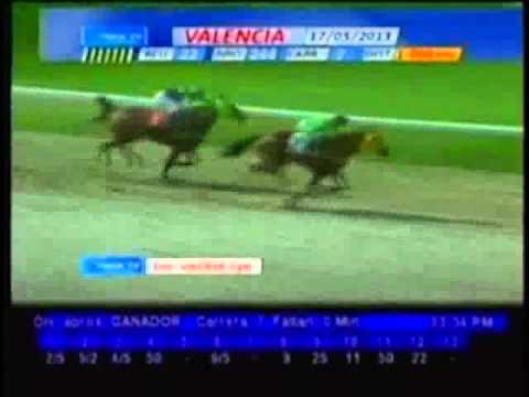 Resumen Viernes, 17 de Mayo de 2013 - Valencia