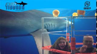 DIA 3 Expo Tiburon141