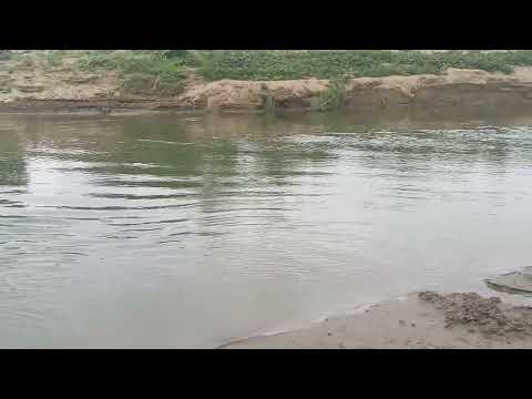 veraniando en el rio Piura