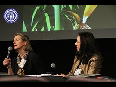 Rosalind Picard What is the future going to bring? secrets of success  - Interview by Renata Bushko