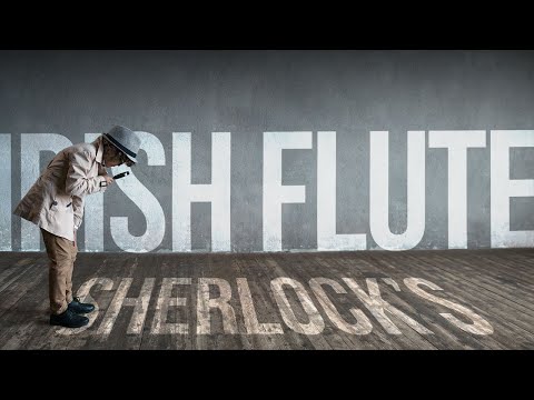 Irish Flute Lesson: Roger Sherlock's (The Noisy Curlew) Reel