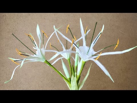 ABC TV | How To Make Hymenocallis Speciosa Paper Flower From Crepe Paper - Craft Tutorial