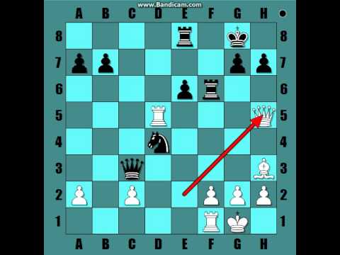 Najljepsa zrtva dame Levitsky–Marshall 23...Qg3 Francuska odbrana   BR:5