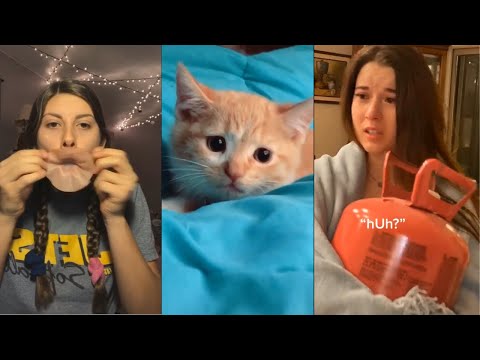 Tik Toks That Perfectly Show Gen Z Humor | Daily Memes