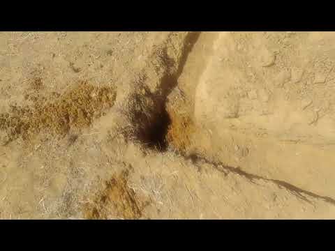 trabalho no município de granito Pernambuco né Junior miudinho brasil