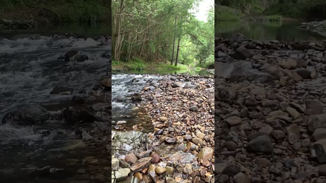 YouTube Short thumbnail