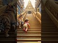 Bala Swamy Ni Bangaru Ayyappa Song Shorts