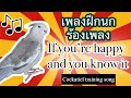ฝึกนกร้องเพลง COCKATIEL training song: If you're happy and you know it