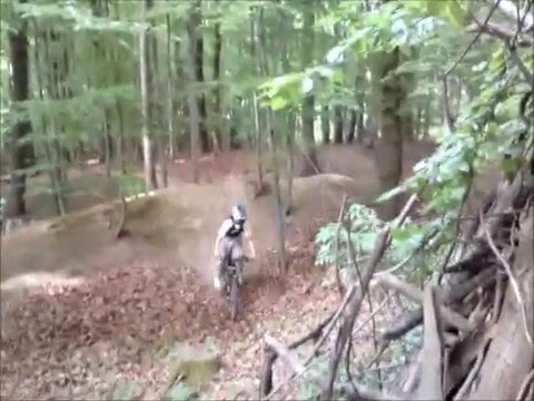 Lohwald Slides and Downhill