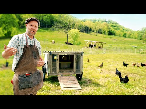 , title : 'Get Started with Chickens: Everything you need to know'