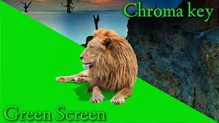 Download lagu Video green screen singa || video green screen lion || free download link di deskripsi mp3