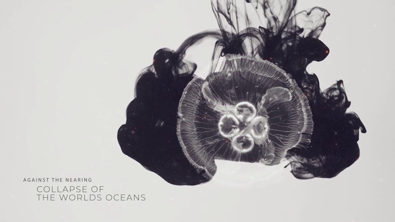 Swarm Intelligence, directed by Ralf Wuerth, Doc Edge Festival 2020