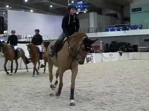 Poznańska Cavaliada 2013 - Dzień 1 - Końskie filmowanie..