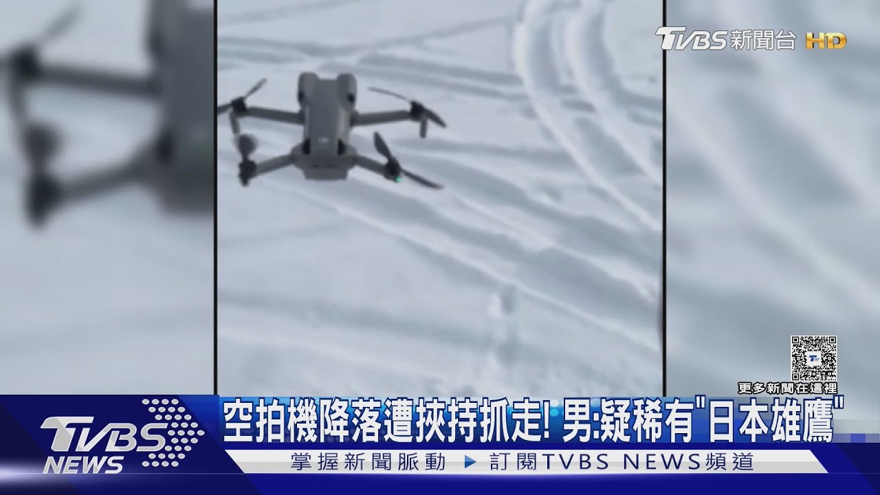 空拍機降落遭挾持抓回巢！　男：疑稀有「日本雄鷹」