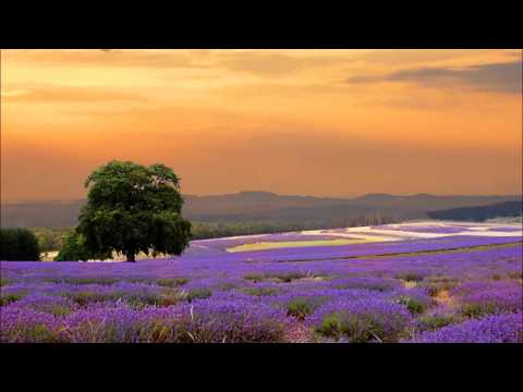 Iolass Pires                   Ku amor di deus nu ta ama