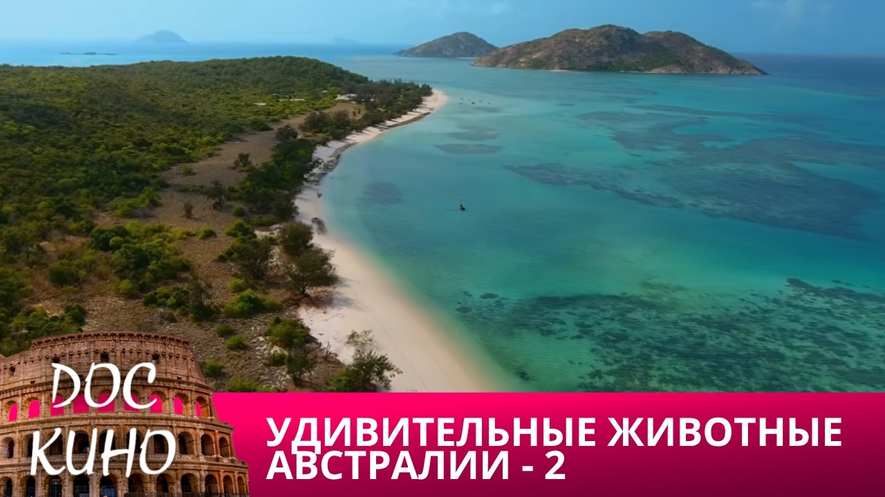 🎭УДИВИТЕЛЬНЫЕ  ЖИВОТНЫЕ АВСТРАЛИИ - 2 🌎 ДОКУМЕНТАЛЬНОЕ КИНО 🎆 2025