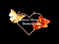Jason Mraz - Butterfly (The Casa Nova Sessions ...