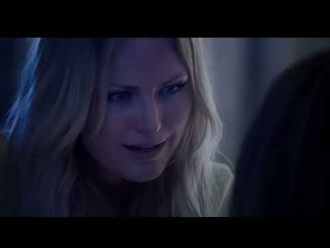 collar full of sugar